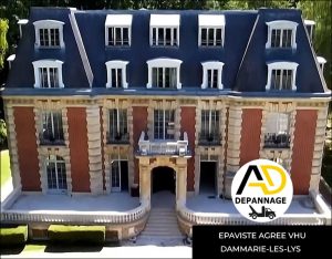 intervention épaviste Dammarie-les-Lys 77