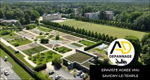 intervention épaviste Savigny-le-Temple 77